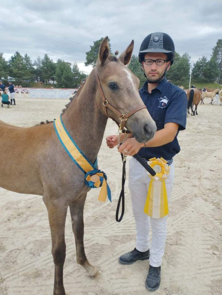 Concours équestre Puy-de-Dôme