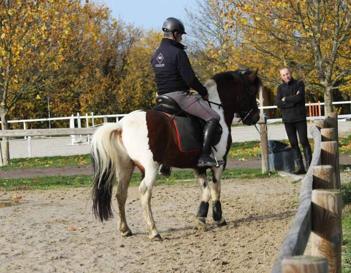 Formation cavalier Puy-de-Dôme