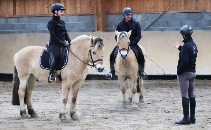 Formation équestre Puy-de-Dôme