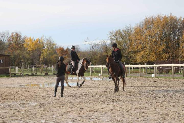 Entrainement équestre Puy-de-Dôme